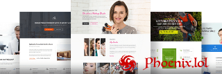 Astra Pro (Add-on for the Astra WordPress Theme) Null