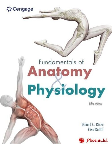 More information about "Donald Rizzo, Elisa Ratliff | Fundamentals of Anatomy and Physiology. 5th Edition (2026) [PDF] [EN]"