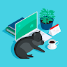 Cats choco